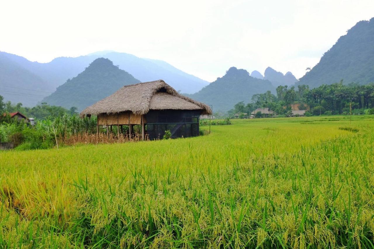 Xoi Farmstay - Eco Homestay Luc Yen Yen Bai Zewnętrze zdjęcie