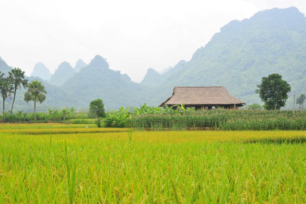 Xoi Farmstay - Eco Homestay Luc Yen Yen Bai Zewnętrze zdjęcie