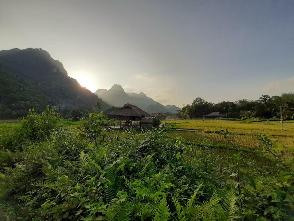 Xoi Farmstay - Eco Homestay Luc Yen Yen Bai Zewnętrze zdjęcie